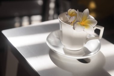 Kahve fincanında beyaz tesisat rumbası, vazoda okaliptüs dalı ve beyaz bir masada siyah bir duvara karşı bir fincan kahve. Metin için boşluk