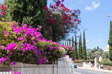 Hayfa, İsrail, 12 Temmuz 2022: İsrail 'in kuzeyindeki Hayfa kentindeki Carmel Dağı' nda yer alan Bahai Bahçesi 'nin orta terasının girişindeki dekoratif metal kapı