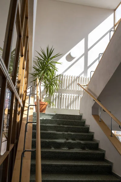 VYBORG, RUSSIA - 28 Nisan 2022: Kütüphane Alvaar Aalto 'dan sonra isimlendirildi. okuma odası