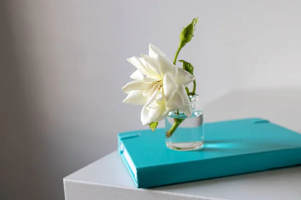Ένα Λευκό Τριαντάφυλλο Είναι Ένα Μπλε Σημειωματάριο Ένα Λευκό Τραπέζι — Φωτογραφία Αρχείου
