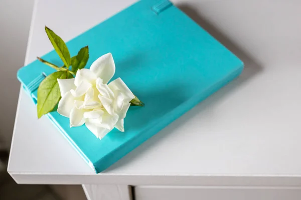 Egy Fehér Rózsa Van Egy Kék Jegyzetfüzeten Egy Fehér Asztalon — Stock Fotó