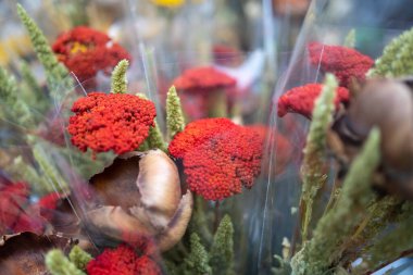Çeşitli durumlar ve dekorasyonlar için buketlerde kırmızı boyalı kiremit.