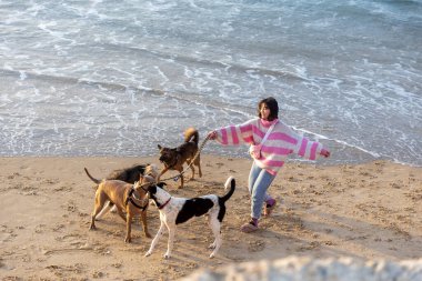 Tel Aviv İsrail - 07 Mart 2023, Pembe ve beyaz çizgili süveterli bir kız deniz kıyısında köpeklerini gezdiriyor..