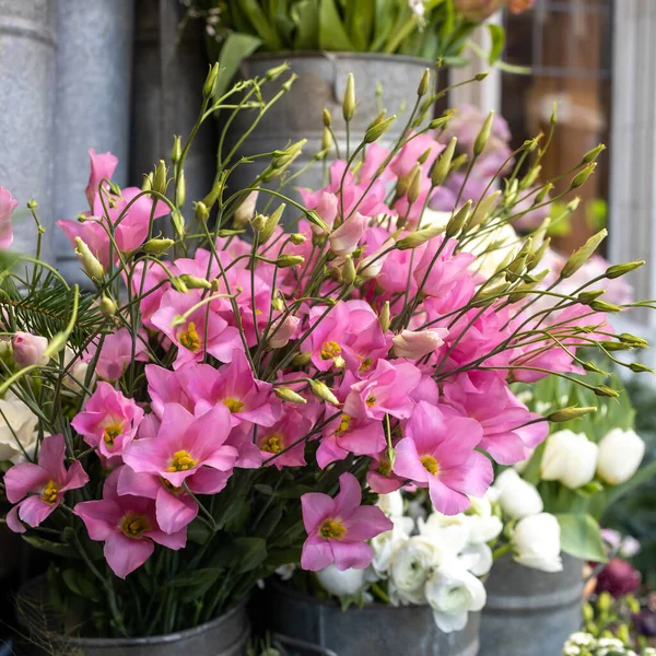 Kare Kare Lisianthus Pembe Eustoma Çiçekleri Mağazanın Girişinde Satılık Büyük — Stok fotoğraf