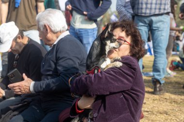JERUSALEM, ISRAEL - 20 Şubat 2023: Bir kadın kollarında küçük siyah bir köpek tutuyor, arkasından dışarı bakıyor.