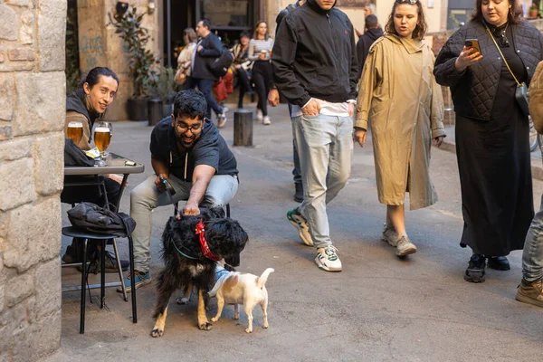 Barselona, İspanya - 13 Mart 2023: İnsanlar küçük meydandaki kafede oturuyor. Geleneksel binalar ve dekoratif ağaç. Köpekli adam.