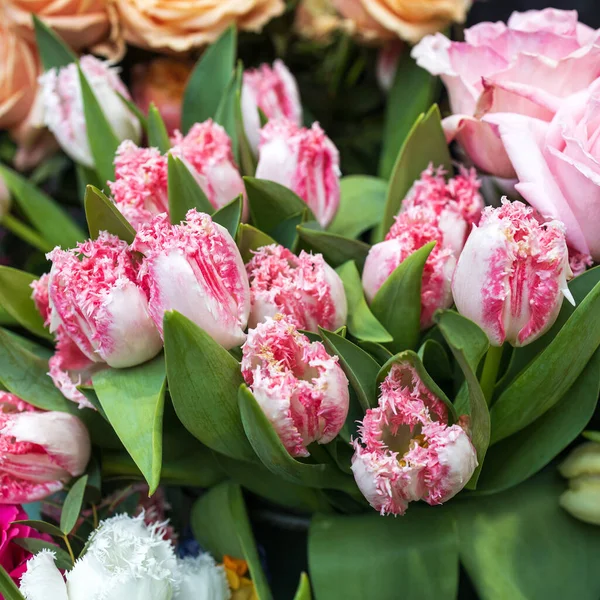 Les Tulipes Perroquet Rose Sur Pelouse Dans Jardin Botanique — Photo