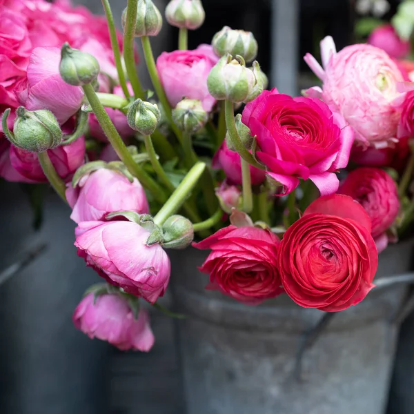 粉红色的兰花和红玫瑰的芬芳 — 图库照片