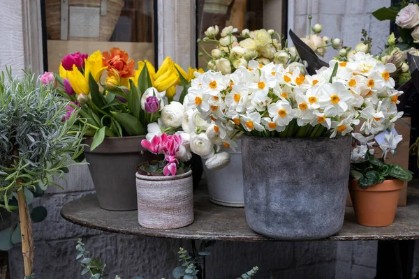 庭園の装飾として テーブルの上に白い水仙 黄色のチューリップ 赤いシクラメンの花束 — ストック写真