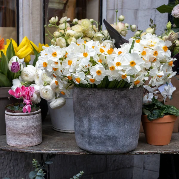 庭園の装飾として テーブルの上に白い水仙 黄色のチューリップ 赤いシクラメンの花束 — ストック写真