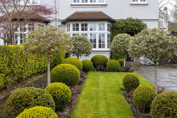 Arbustos Recortados Bolas Una Escultura Jardín Entrada Una Casa Inglesa —  Fotos de Stock
