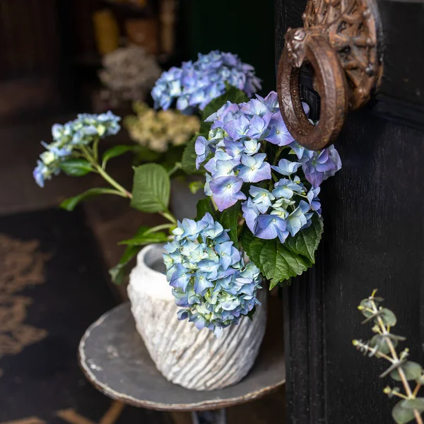 木製の浴槽に青いアジサイの茂みが店の入り口を飾る — ストック写真