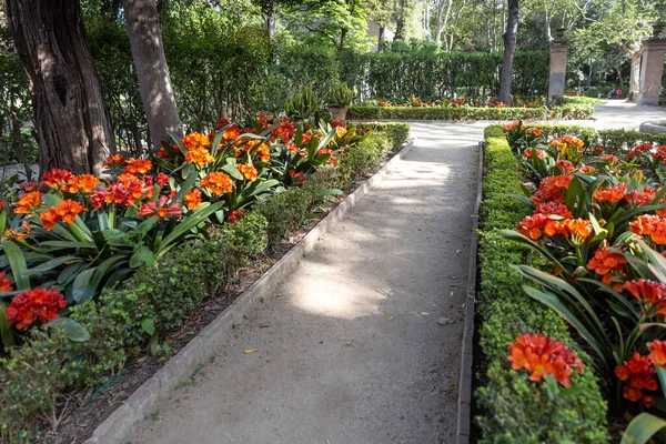 Barcelona España Abril 2023 Jardines Públicos Jardins Tamarita Primavera Flor — Foto de Stock