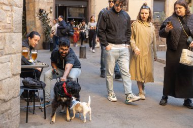 Barselona, İspanya - 13 Mart 2023: İnsanlar küçük meydandaki kafede oturuyor. Geleneksel binalar ve dekoratif ağaç. Köpekli adam.