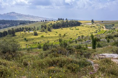 Meron Dağı, İsrail 'in Yukarı Celile bölgesinde bir dağdır. Yahudi dini geleneğinde özel bir önemi vardır ve bir kısmı doğal rezerv ilan edilmiştir.