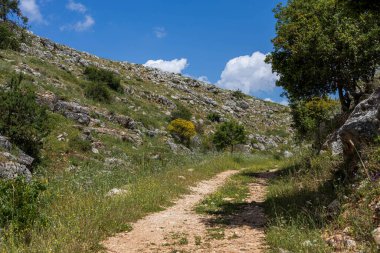 Meron Dağı, İsrail 'in Yukarı Celile bölgesinde bir dağdır. Yahudi dini geleneğinde özel bir önemi vardır ve bir kısmı doğal rezerv ilan edilmiştir.