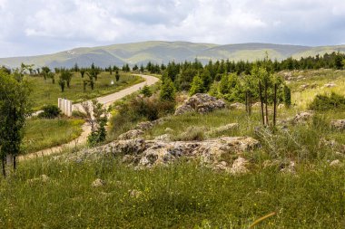 Meron Dağı, İsrail 'in Yukarı Celile bölgesinde bir dağdır. Yahudi dini geleneğinde özel bir önemi vardır ve bir kısmı doğal rezerv ilan edilmiştir.