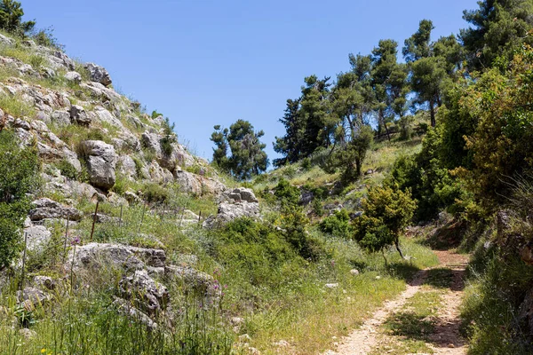 Meronberget Ett Berg Övre Galiléen Israel Den Har Särskild Betydelse — Stockfoto