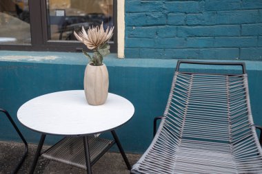 Mavi bir duvara karşı beyaz bir masada seramik bir vazoda kurumuş büyük, kuru, gri bir çiçek. İskandinav tasarımı. Sokak kafesi dekorasyonu