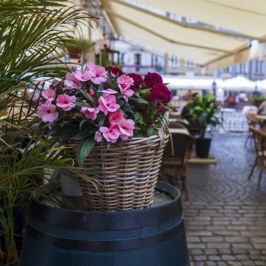 Restorandaki kentsel manzara tasarımının dekorasyonu olarak bahçede majolika olan kötü tencerelere dokunmayın bana.
