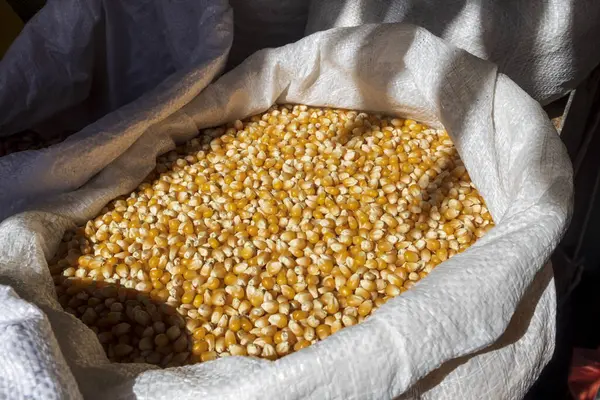 yellow maize grains in a bag at the market