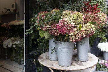 Açık hava tencerelerinde bulunan kırmızı ve mor ortanca çalıları ve petunyalar açık hava kafeleri ve restoranların sınırını çiziyor.