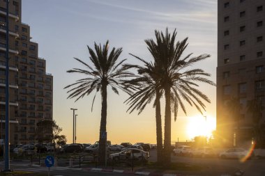 Hayfa, İsrail - 10 Ocak 2024, Leonardo Hotel bölgesinde gün batımında palmiye ağaçlarının siluetleri