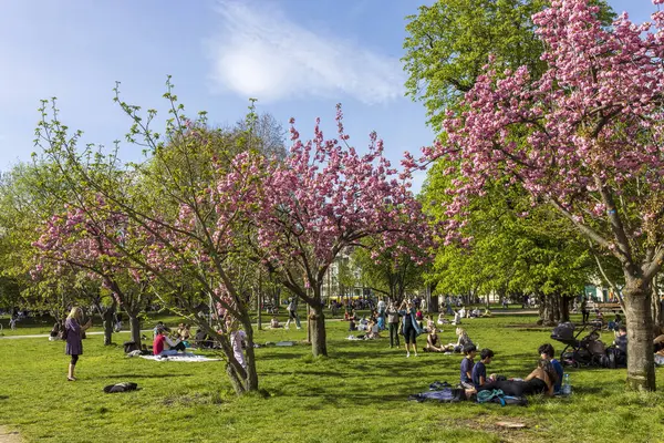 Berlin Niemcy Kwietnia 2024 Wiosna Berlińskim Parku Ludzie Mieli Piknik Obraz Stockowy