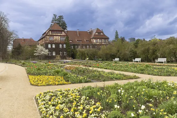 Лин Германия Апреля 2024 Года Берлинский Ботанический Сад Включает Гигантские Стоковая Картинка