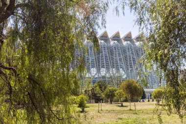 Valencia, İspanya; 19 Nisan 2024: Sanat ve Bilim Müzesi. Calatrava 'nın modern mimarisi