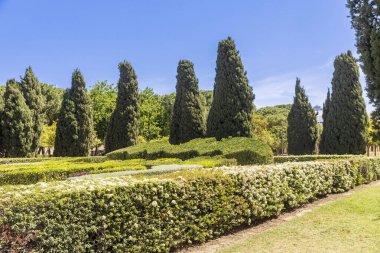 Peyzaj tasarımı. Eşkıyalar, selvi çiçekleri ve ardıç çalılarıyla dolu bir park..