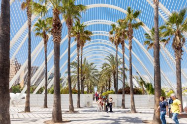 Valencia, İspanya - 17 Nisan 2024: Umbracle Modern Binası 'nın yeşilimsi dış yapısı 