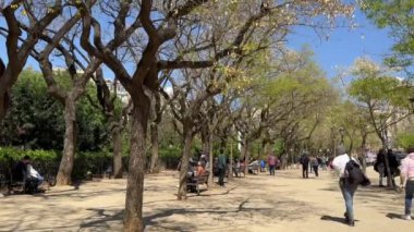 Barselona, İspanya - 24 Nisan, insanlar parkın yolu boyunca yürüyorlar, arkadan görüyorlar. Ağaçların gölgeleri.