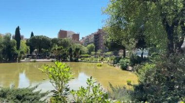Barselona, İspanya - 25 Nisan 2024, Sagrada Familia yakınlarında küçük bir gölet. Rüzgar ağaçların dallarını sallıyor. Yavaş çekim.