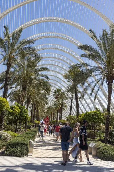 西班牙瓦伦西亚 2024年4月17日 伞形现代建筑的外部结构及其绿化 天空背景上的棕榈 免版税图库照片
