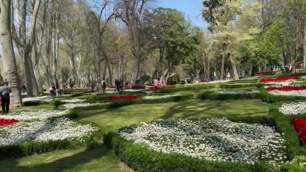 이스탄불 2024년 12일 관광지 걸하네 공원에서 속에서 여유로운 산책을 즐기는 — 비디오