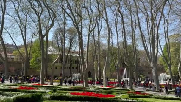 Istanbul Turkey April 2024 Scenic Stroll Visitors Enjoying Leisurely Walk — Stock Video