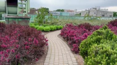 Varşova, Polonya - 2 Mayıs 2024, Varşova Üniversitesi Teras Bahçeleri, Polonya