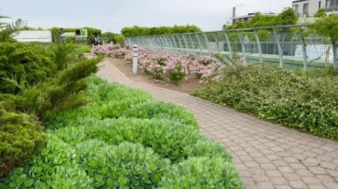 Varşova, Polonya - 5 Mayıs 2024, Modern mimari tasarım Varşova Üniversitesi Kütüphanesi 'nin çatı katındaki botanik bahçesinde yemyeşil ile buluşuyor. Avrupa 'nın en büyük çatı bahçelerinden biri olarak duruyor, ekolojik yenilikleri somutlaştırıyor..