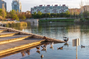 Valencia, İspanya - 20 Nisan 2024. Turia Nehri 'nin eski nehir yatağına park et. Baharın başında. Bina. İnsanlar merdivenlerde otururken ördekleri besler. Gün batımı.