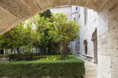 Valencia, İspanya - 20 Nisan 2024. İpek Borsası 'nın avlusunda portakal bahçesi.