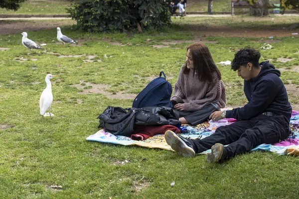 Barselona, İspanya - 2 Mayıs 2024 Barselona, Katalonya, İspanya 'daki Citadel Park' ta bir çimenlikte oturan gençlerden bir balıkçıl yiyecek diliyor.