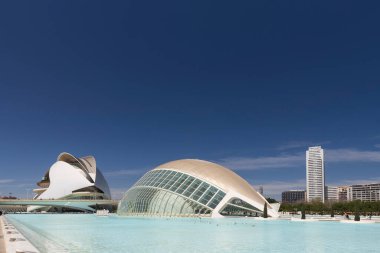Valencia, İspanya; 19 Nisan 2024: Sanat ve Bilim Müzesi. Calatrava 'nın modern mimarisi
