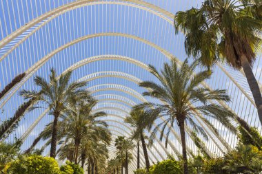 Valencia, İspanya - 17 Nisan 2024: Umbracle Modern Binası 'nın dış yapısı ve yeşilliği. Avuçlar gökyüzünde arkaplanda
