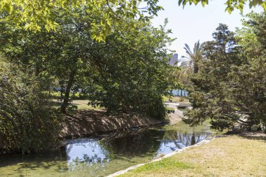 Valencia, İspanya; 19 Nisan 2024: Valencia 'da yeşil alanı ve binaları olan manzara Cabecera Parkı