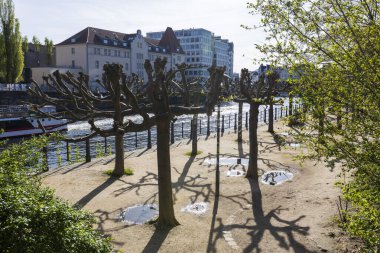 Berlin, Almanya - 20 Nisan 2024 Müze adasının karşısındaki Ren seti. Uçak ağaçları hala yapraksız. Yukarıdan görüntüle.