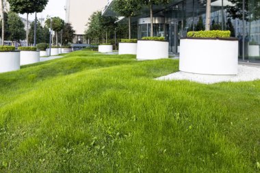 Yuvarlak çimenli bir çimen, beyaz küvetli ağaçlar şehir merkezini süslüyor. Sokak tasarımı.