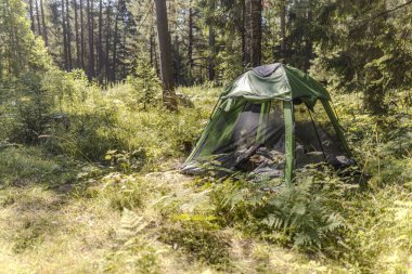 Yeşil çadır açıldı ve eşyaların havalanması için sadece sivrisinek ağı kaldı. Orman, yaz, kamp..