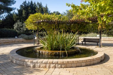 Zichron Yaakov, Ramat HaNadiv, Israel - October 22, 2024, The Fragrance Garden, established in 1985, is the youngest of the Memorial Gardens in Rothschild Park. The pool with fish clipart