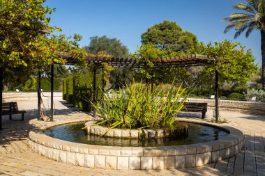Ramat HaNadiv, İsrail - 22 Ekim 2024, 1985 yılında kurulan The Pargrance Garden, Rothschild Park 'taki Memorial Gardens' ın en genci. Kırmızı balıklı yuvarlak bir havuz..